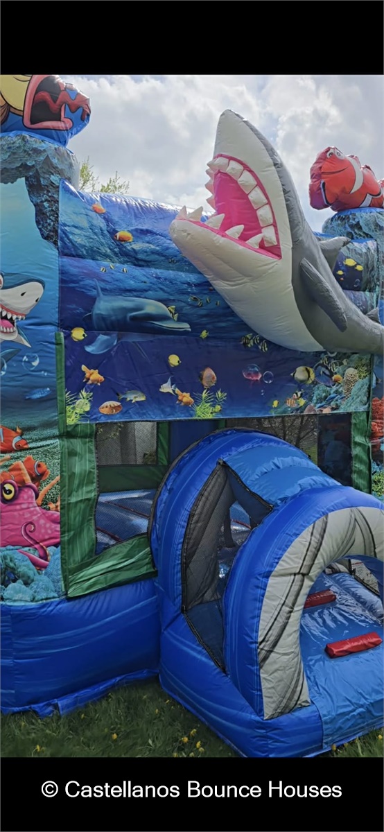 Shark Attack Splash Combo - SW Chicagoland Suburbs Premier Party Rental ...